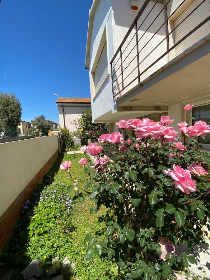 Casa Summer Cecina  Εξωτερικό φωτογραφία